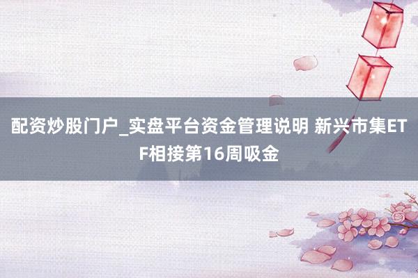配资炒股门户_实盘平台资金管理说明 新兴市集ETF相接第16周吸金