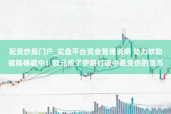 配资炒股门户_实盘平台资金管理说明 动力软肋被精确戳中！欧元成了伊朗打破中最受伤的货币