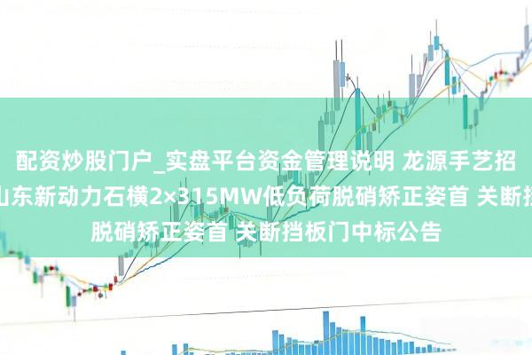 配资炒股门户_实盘平台资金管理说明 龙源手艺招标效果：国能山东新动力石横2×315MW低负荷脱硝矫正姿首 关断挡板门中标公告