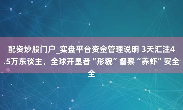 配资炒股门户_实盘平台资金管理说明 3天汇注4.5万东谈主，全球开垦者“形貌”督察“养虾”安全