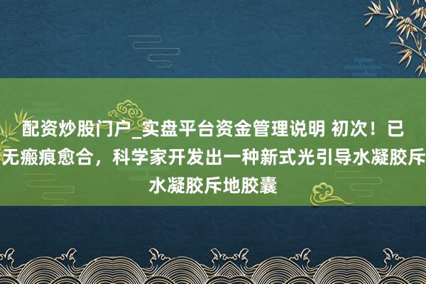 配资炒股门户_实盘平台资金管理说明 初次！已毕伤口无瘢痕愈合，科学家开发出一种新式光引导水凝胶斥地胶囊